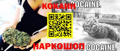 PSILOCYBIN Краснодар