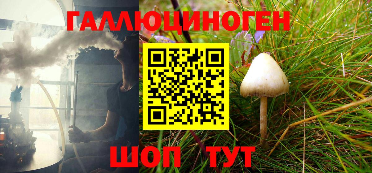 Псилоцибиновые грибы MAGIC MUSHROOMS Учалы